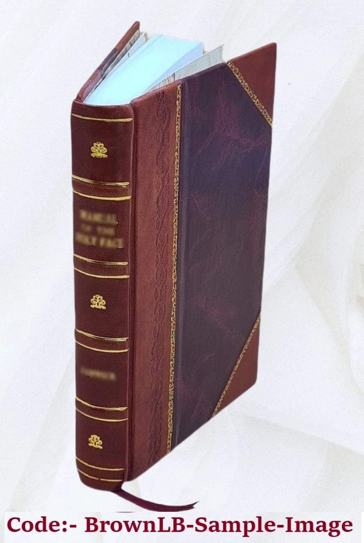 Historia metropolitanae ecclesiae Vpsalen : in regnis Suetiae et Gothiae / A Ioanne Magno Gotho ... collecta ; Opera Olai Magni Gothi eius fratri in lucem edita. 1560 [Leather Boun