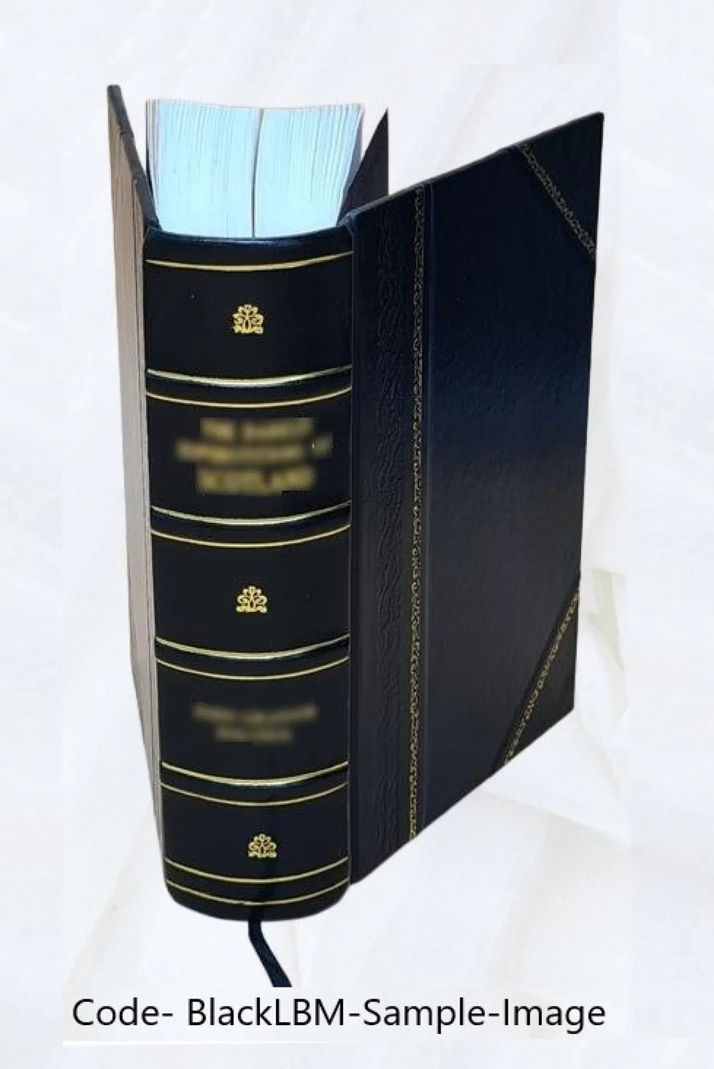 Pauli Iovii ... Opera quotquot extant omnia : a mendis accuratè repurgata vivisque imaginibus eleganter & opportune suis locis illustrata. 1578 [Leather Bound]