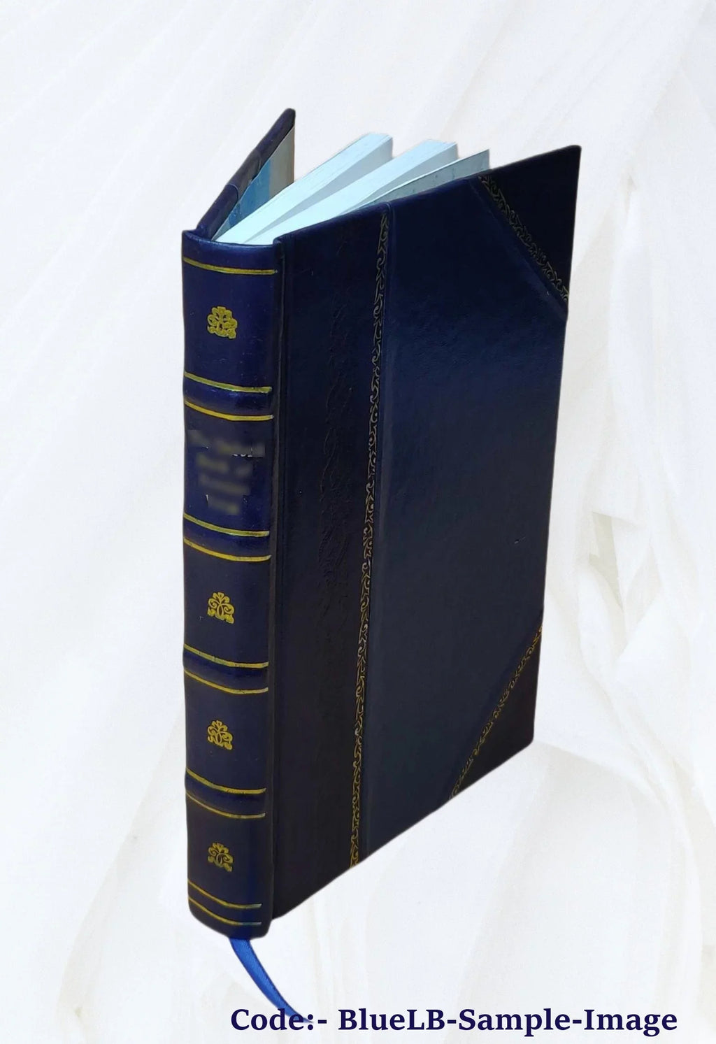 Common school spelling book / by Frances Squire Potter. 1913 [Leather Bound]