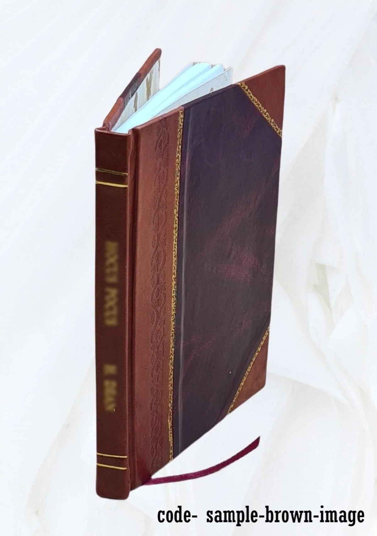 Historia metropolitana ecclesiae upsalen, in regnis Suetiae et Gothiae ([Reprod.]) / a Joanne Magno Gotho,... ; opera Olai Magni Gothi ejus fratri in lucem edita 1560 [Leather Boun