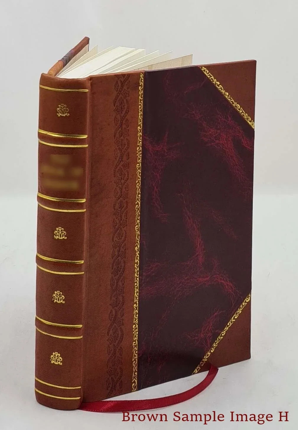 Extracts from state papers relating to Friends 1654 to 1672 ed. by Norman Penney. With introduction by R. A. Roberts. no.8-11. Volume no.8-11 1913 [Leather Bound]