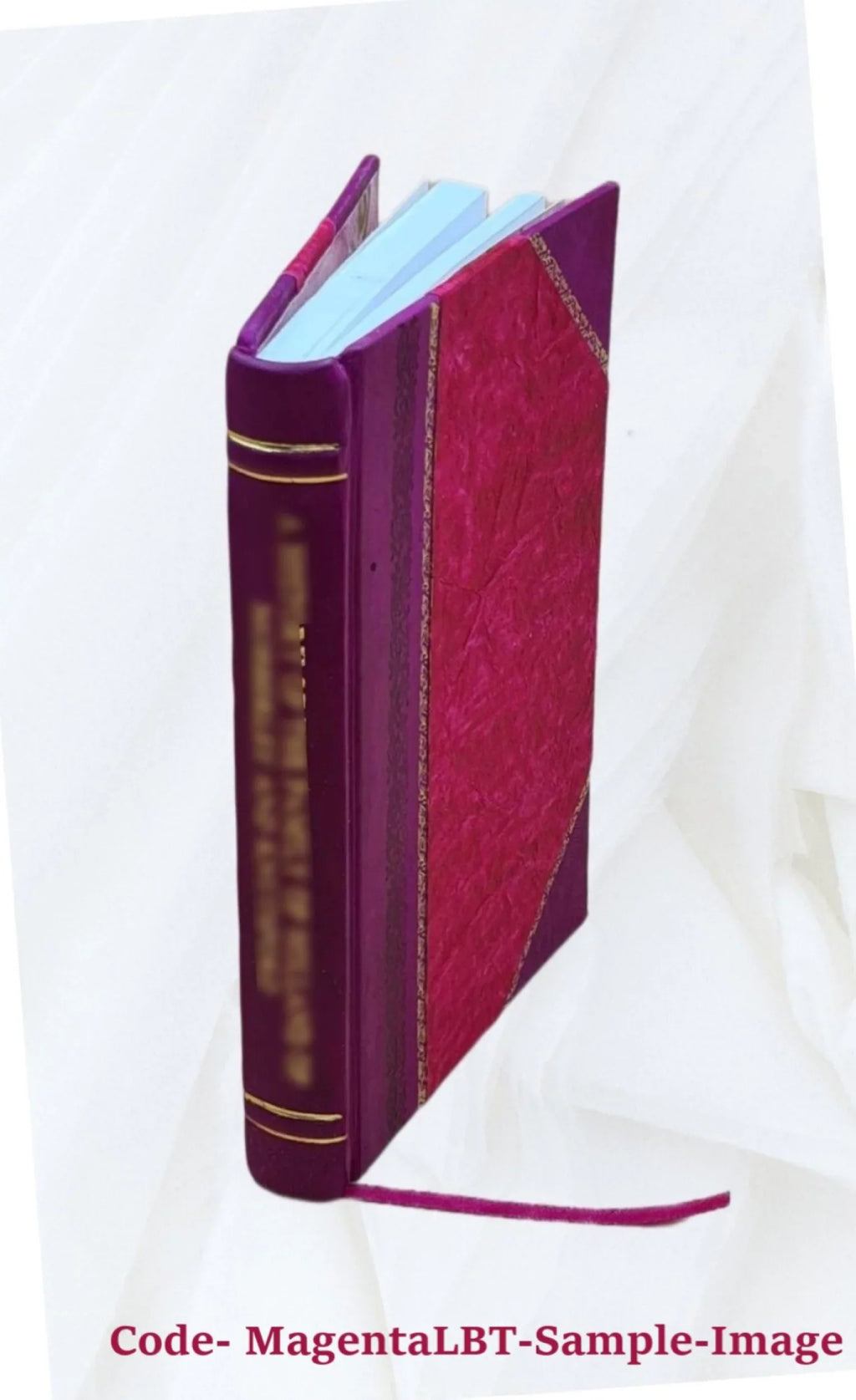 Historia metropolitana ecclesiae upsalen, in regnis Suetiae et Gothiae ([Reprod.]) / a Joanne Magno Gotho,... ; opera Olai Magni Gothi ejus fratri in lucem edita 1560 [Leather Boun