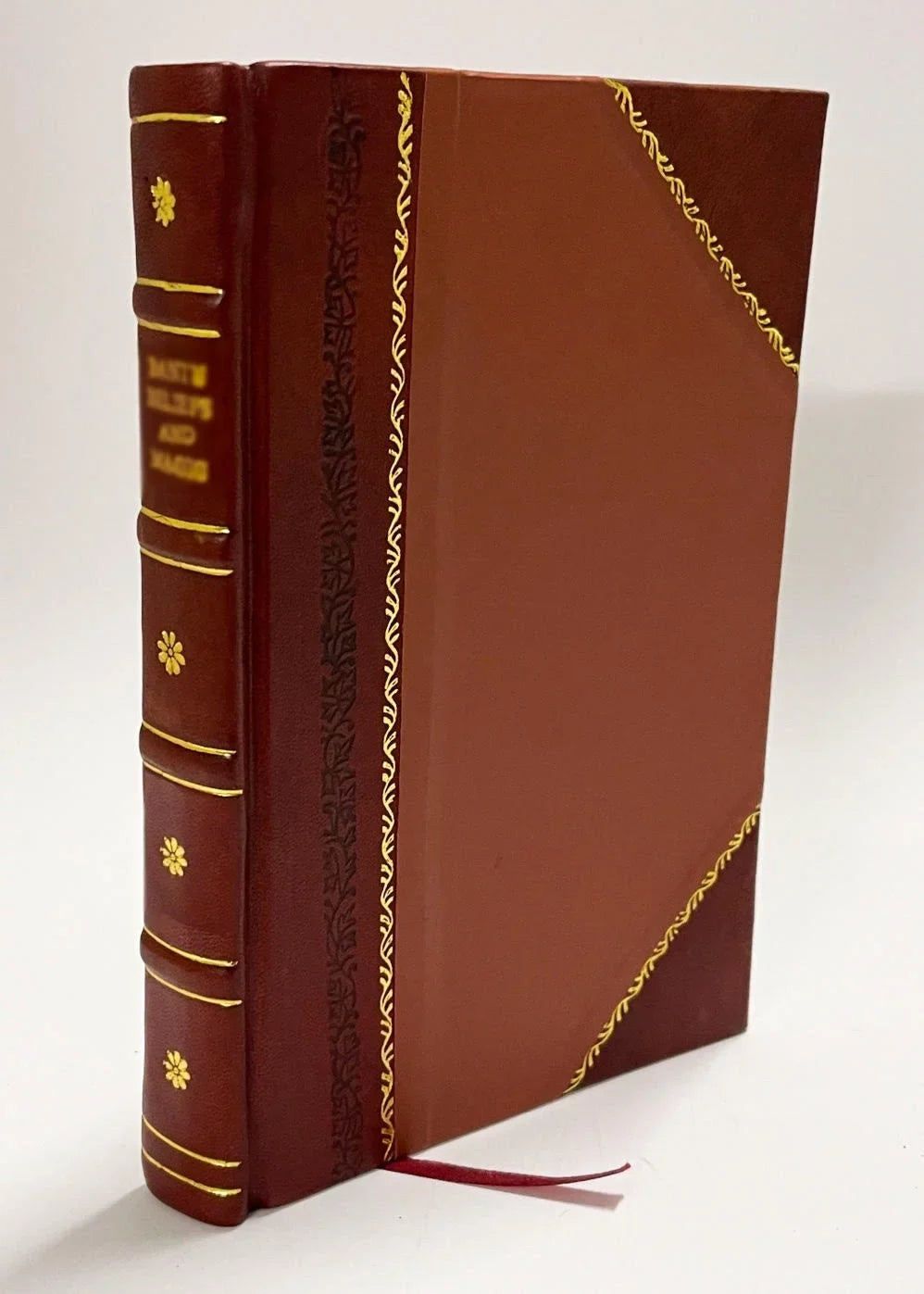 Vita Del Beato Andrea Ibernon, Laico Professo 'Ordine Di San Francesco Della Piu Stretta Osservanza De'Minori Scalzi Di San Pietro D'Alcantara ... Data in Luce Dal P. Fra' (1791) [Leather Bound]