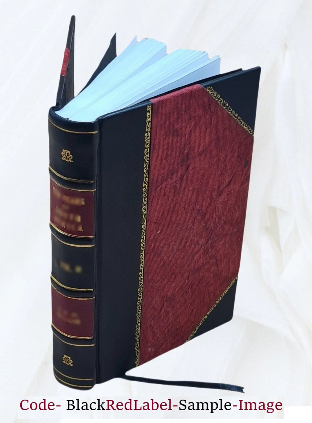 Historia metropolitanae ecclesiae Vpsalen : in regnis Suetiae et Gothiae / A Ioanne Magno Gotho ... collecta ; Opera Olai Magni Gothi eius fratri in lucem edita. 1560 [Leather Boun