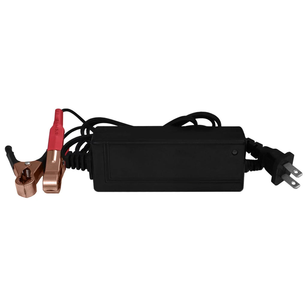 YTZ12S GEL Replaces Honda Super Hawk VRT1000F 2000 + 12V 2Amp Charger